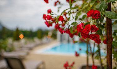 Rote Rosen im Vordergrund vor einem unscharfen Hintergrund mit Pool und Sonnenliegen unter bewölktem Himmel, vermittelt eine ruhige und elegante Atmosphäre.